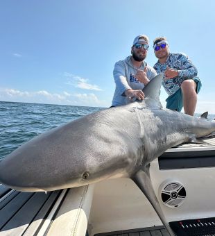 Captain Jared got it done on this shark trip! Summer 2024