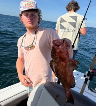 Grouper action in Pensacola