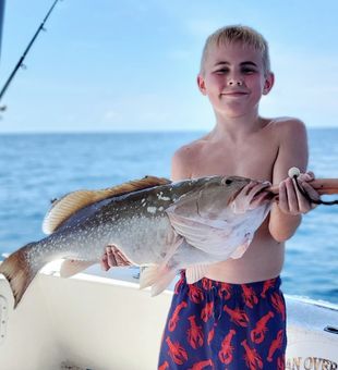 Gag Grouper caught in Florida