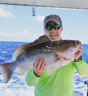 Grouper from the Gulf Coast