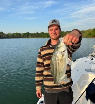 South Carolina fish making it hard to leave.