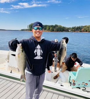 Striped bass and largemouth bass fishing on Lake Hartwell near Townville, South Carolina where every cast brings the chance for a powerful bass.