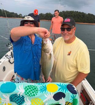 Beautiful striped bass caught in Townville SC waters!