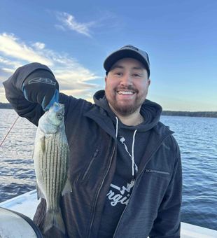 Early morning bass fishing on Lake Hartwell near Townville, South Carolina targeting striped bass and largemouth bass.