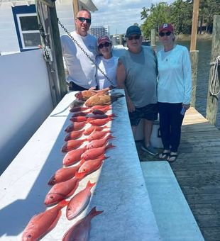 Destin's bays and flats are producing incredible redfish and trout action. Don't miss your chance to fish with a local guide who knows where the fish are. Secure your spot today.