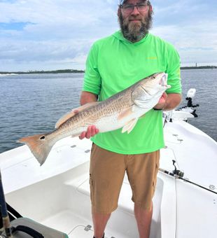 Redfish are biting - Pensacola, FL.
