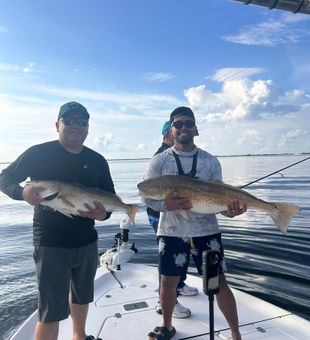 Nothing beats a fresh Big Fish.