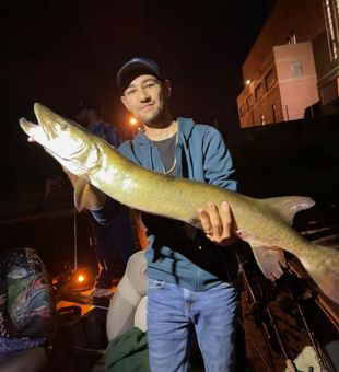 Muskie chase in Wisconsin waters