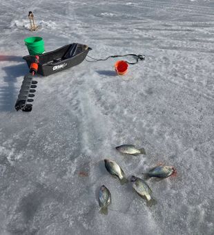 Chasing panfish through the ice in Mosinee, WI