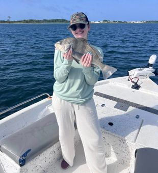 Proud Black Drum catch!