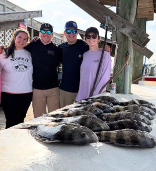 Sunset catches on the Gulf Coast - Sheepshead