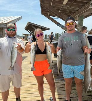 Gulf Shores speckled trout and shark fishing success!