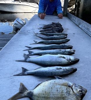 Catch of the day—North Myrtle