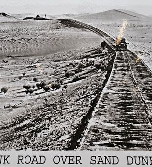 Plank Road over sand dunes