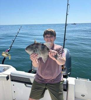 Nice catch – Gulf Triggerfish action!