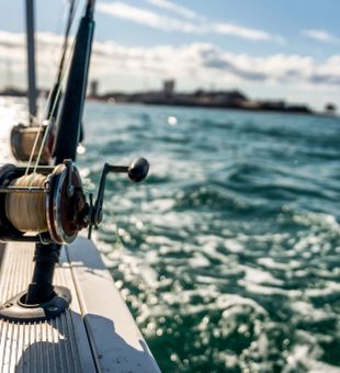 Lines out – Gulf Coast deep sea fishing.