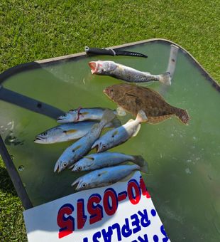 Port Arthur: where every cast counts.