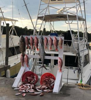 Enjoy Offshore fishing trip with us today!