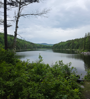 Perfect fishing waters at Sebago Lake Maine.