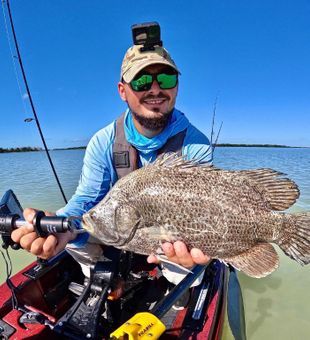 Tripletail in West West Palm Beach, FL