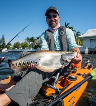 Clown Knife Fish in West West Palm Beach, FL