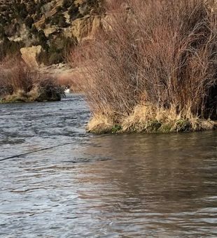 Wade Trip in San Juan River