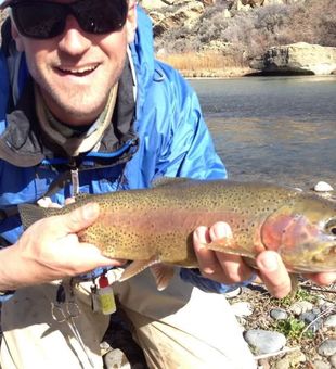 San Juan River's Top Fly Fishing Guide