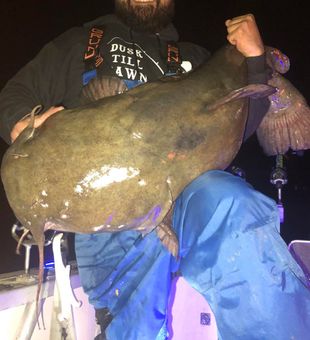 Massive catch—huge catfish!
