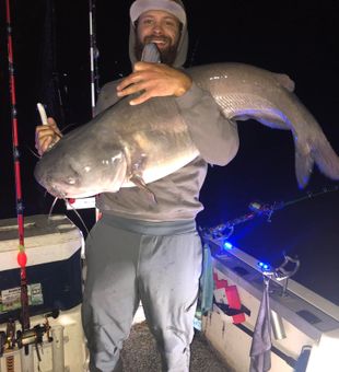 Impressive catch—giant catfish!