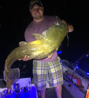 Huge Catfish Caught in Lake Erie!