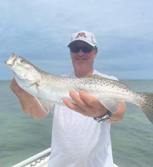 Fishing for Trout in St. Petersburg, FL