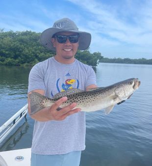 Spotted Trout in St. Petersburg, FL