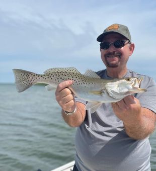 Spotted Trout in St. Petersburg, FL