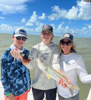 Snook Sensation: Book Today