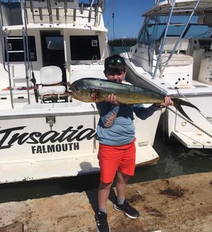 Trophy Mahi-Mahi Fishing Charter Catch