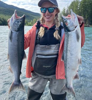 Alaska Salmon Bounty