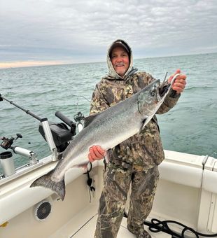 Massive Chinook salmon haul!