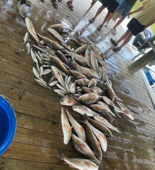 Louisiana Fishing: Redfish Delight