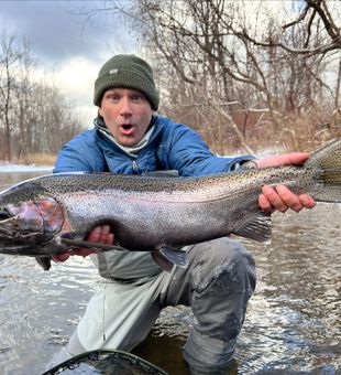 Trophy trout from Western New York!