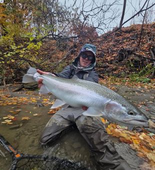 Trout fishing dreams come true here.