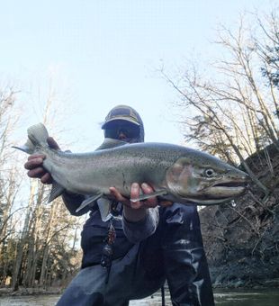 Steelhead success on the river – what a catch!