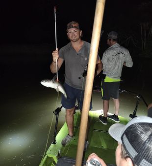 Clear shot in Crystal River
