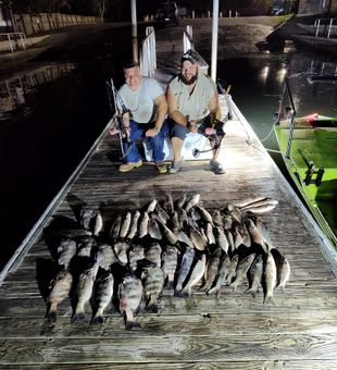 Crystal River bowfishing haul