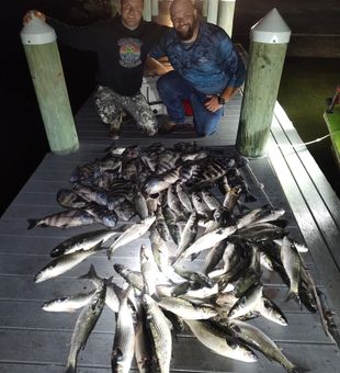 Arrow meets fish inshore