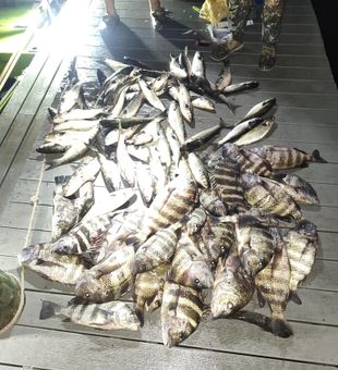 Crystal River bow catch success