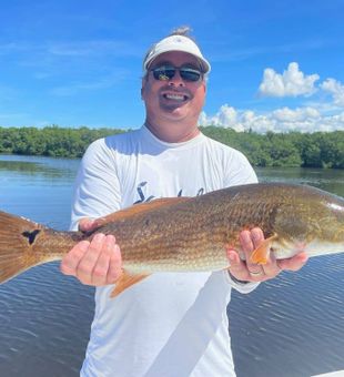 Beautiful Redfish from Key West fishing trip