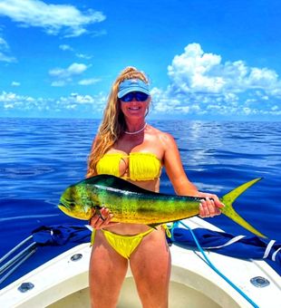 Mahi Mahi caught in Tampa Bay