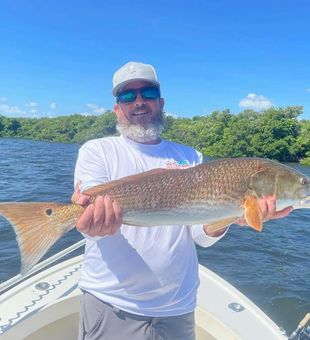 A good size of Reds!