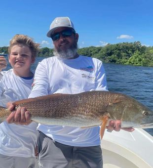 Redfish caught from Tampa bay