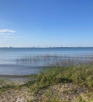 Perfect fishing waters await in Mount Pleasant SC